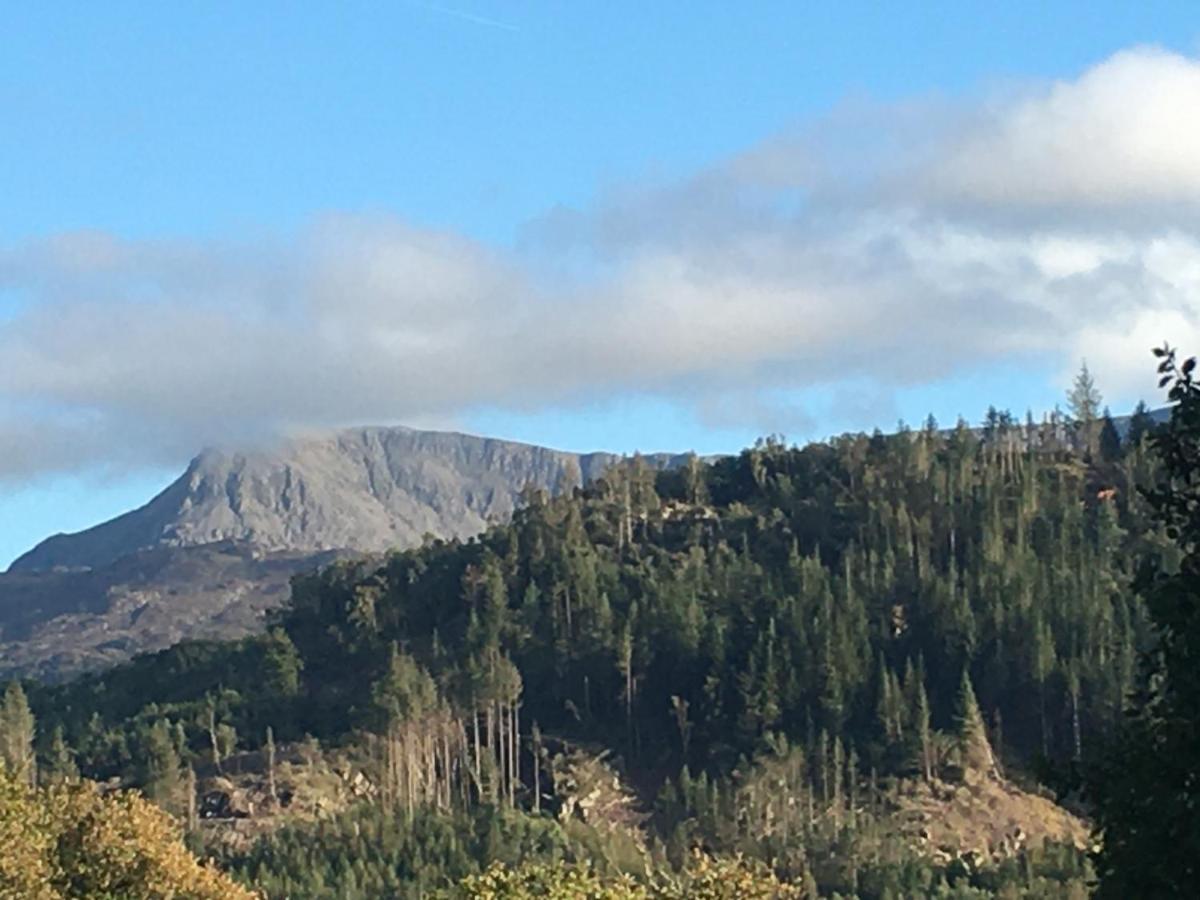 Snowdonia Mawddach Escape Βίλα Dolgellau Εξωτερικό φωτογραφία