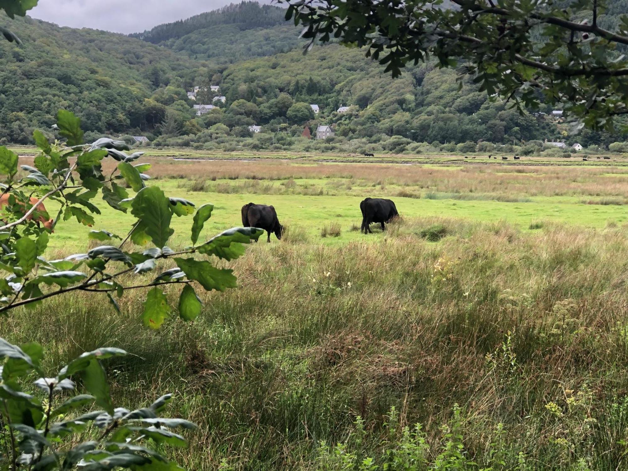 Snowdonia Mawddach Escape Βίλα Dolgellau Εξωτερικό φωτογραφία