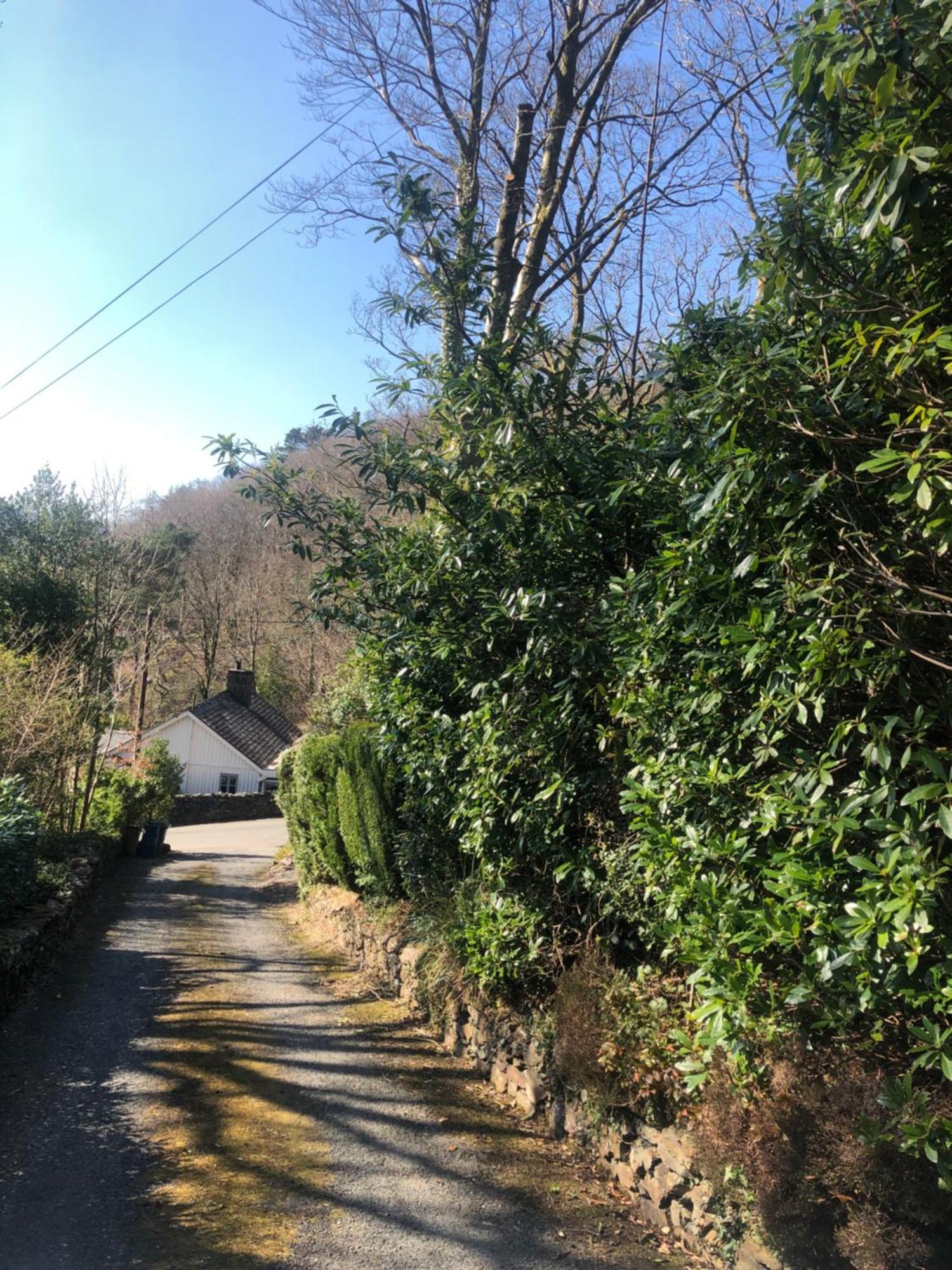 Snowdonia Mawddach Escape Βίλα Dolgellau Εξωτερικό φωτογραφία